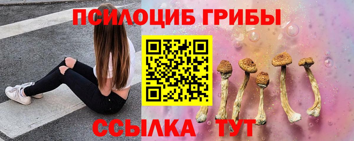 Галлюциногенные грибы MAGIC MUSHROOMS Унеча