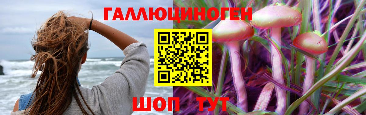 Галлюциногенные грибы Cubensis  Галлюциногенные грибы MAGIC MUSHROOMS  Унеча  дарнет шоп  Вход с VPN 